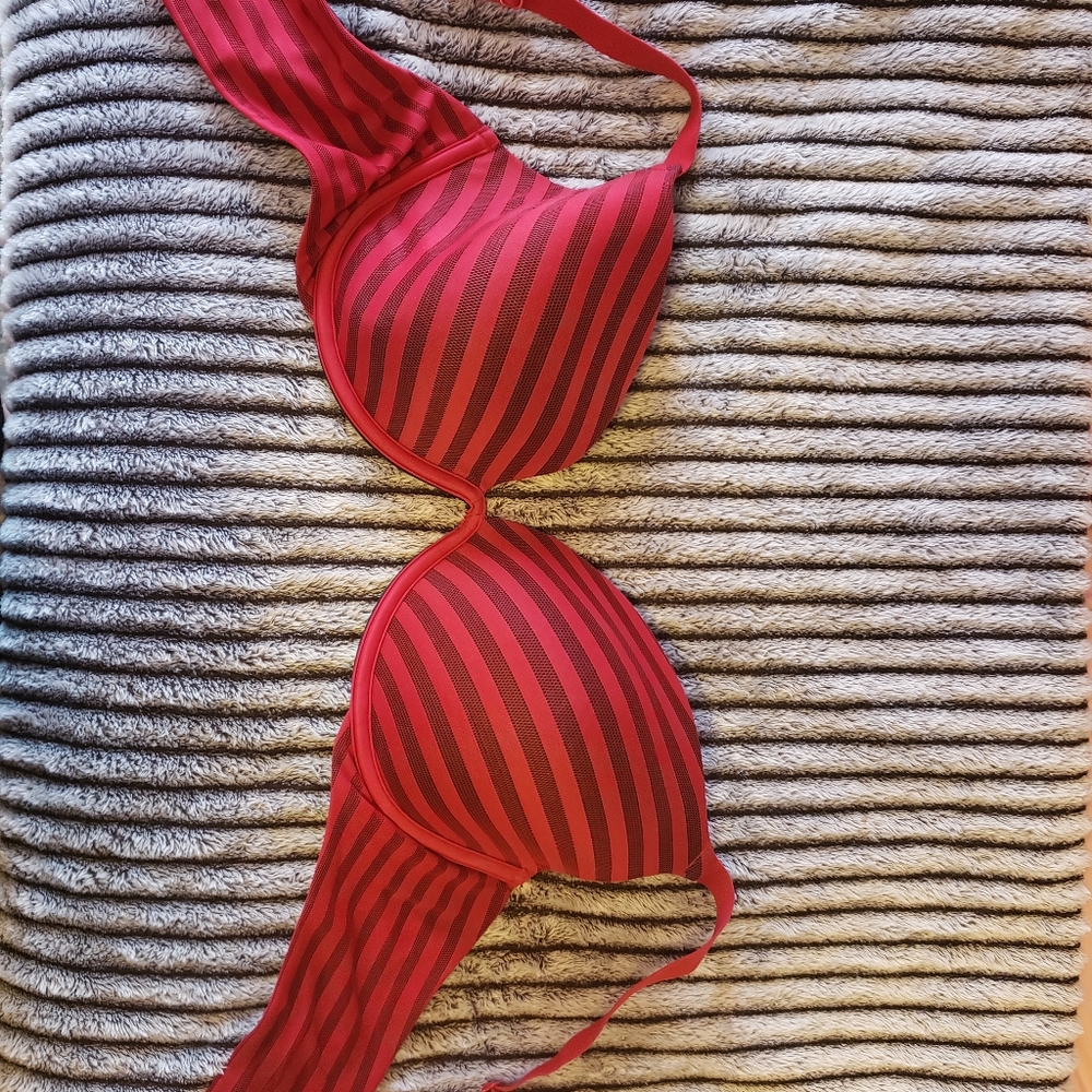 NWOT Lilyette 40D Wired Bra